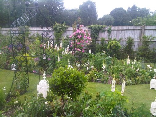 West View of my White Garden