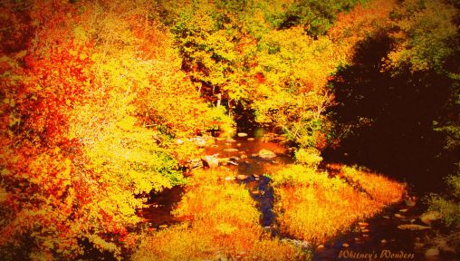 Autumn in Piedmont, AL