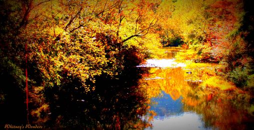 Autumn in Piedmont, AL