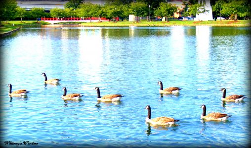 Big Spring Park Huntsville, AL