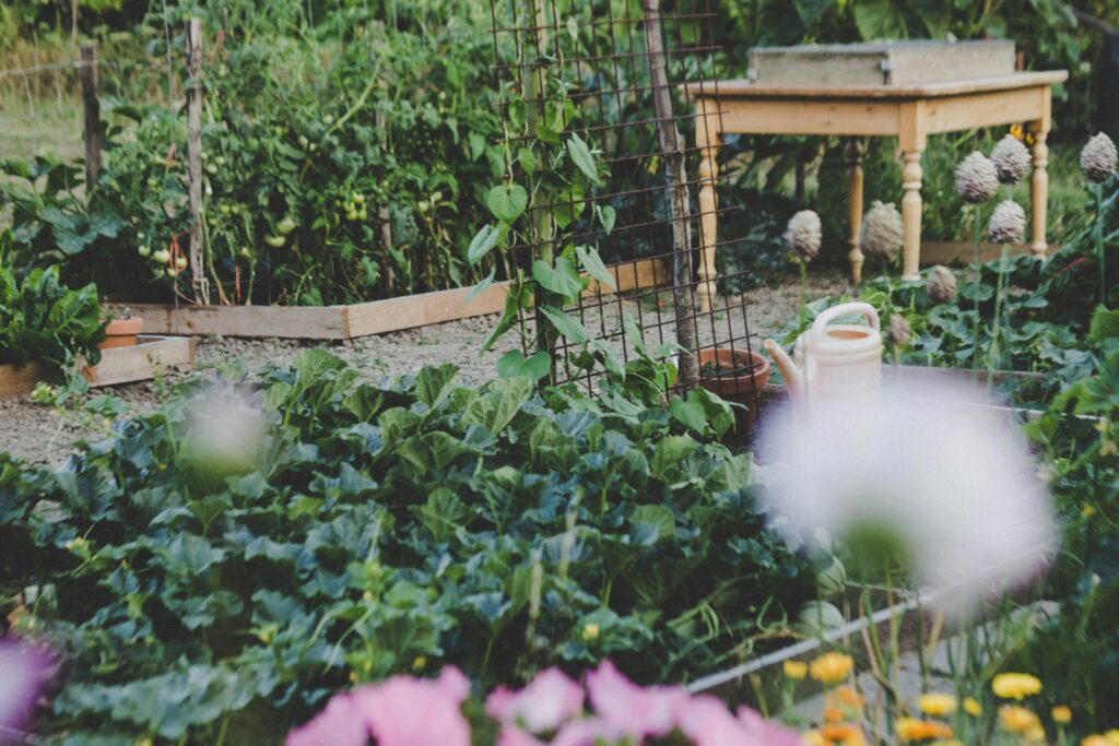 Mixed vegetable garden with leafy greens, flowers and climbing plants growing together in raised beds