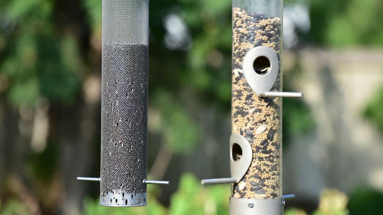 Nyjer feeder next to a regular mixed seed bird feeder