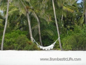 My backyard (I wish)