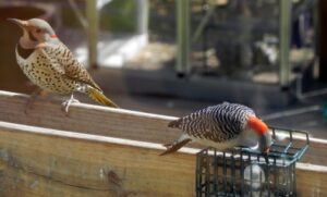 Taking turns eating