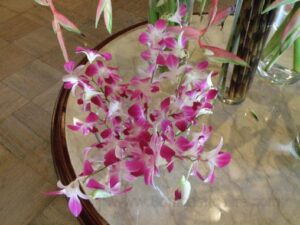 Flowers in a hotel lobby… they looked better in person.