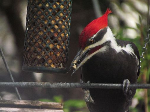 One of my favorite visitors…