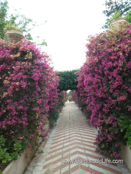 Garden of San Dominco Hotel in Taormina, Italy