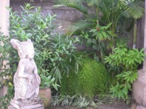 Patio I want to recreate