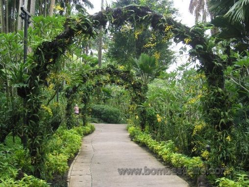 Botanical Gardens