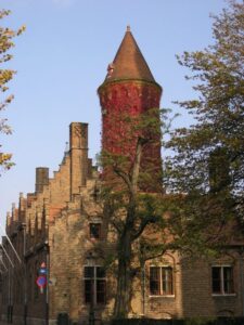 Beautiful Ivy Covered Tower