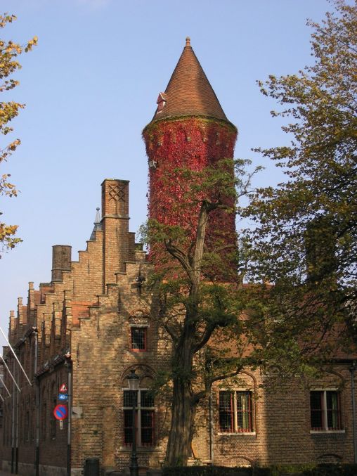 Beautiful Ivy Covered Tower