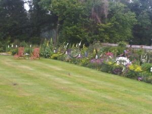 My Summer Garden