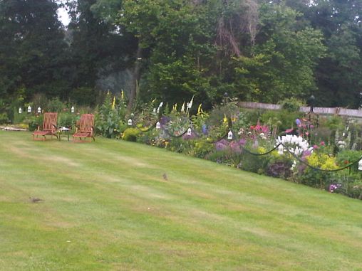 My Summer Garden